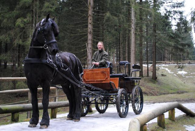 Reiterparadies Sonnenhof- wo (Reiter-)Trume wahr werden